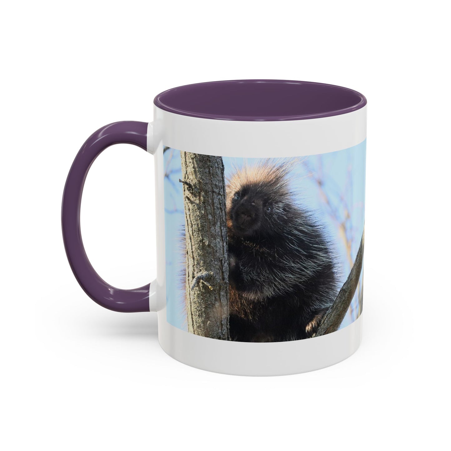 Porcupine Photo Accent Coffee Mug — Wildlife Nature Lover Gift (11/15oz)