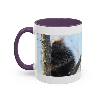 Porcupine Photo Accent Coffee Mug — Wildlife Nature Lover Gift (11/15oz)