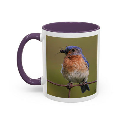 Bluebird Photo Coffee Mug — Eastern Bluebird with Insect Accent Mug (11/15 oz)