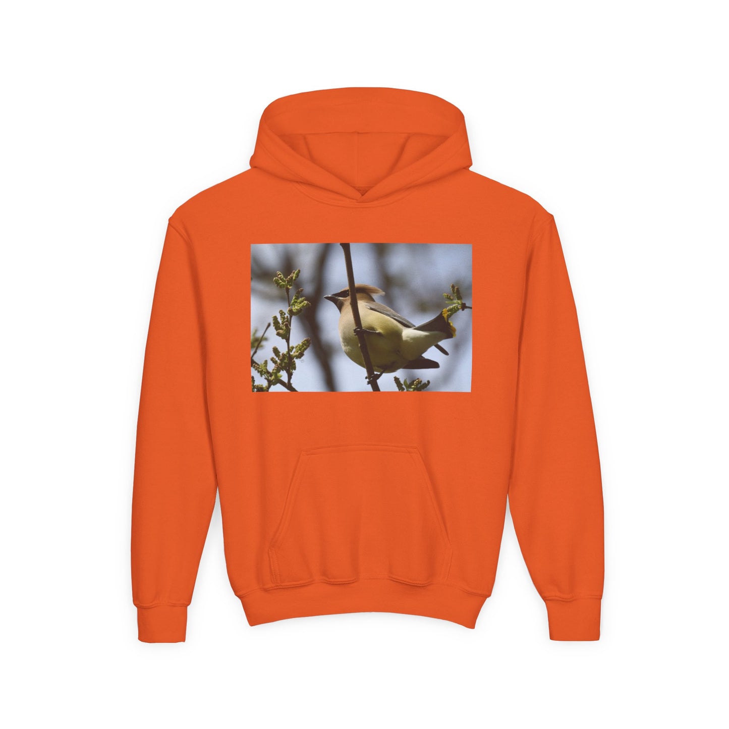 Cedar Waxwing Bird Hoodie | Youth Hooded Sweatshirt