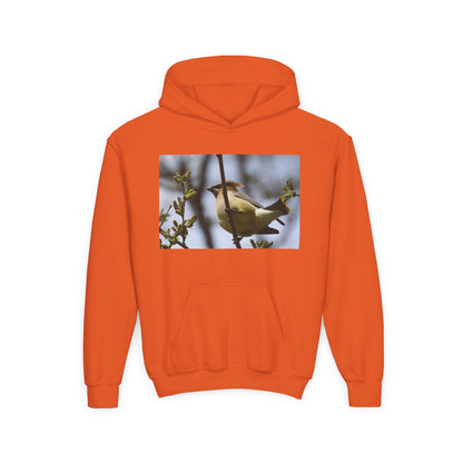Cedar Waxwing Bird Hoodie | Youth Hooded Sweatshirt