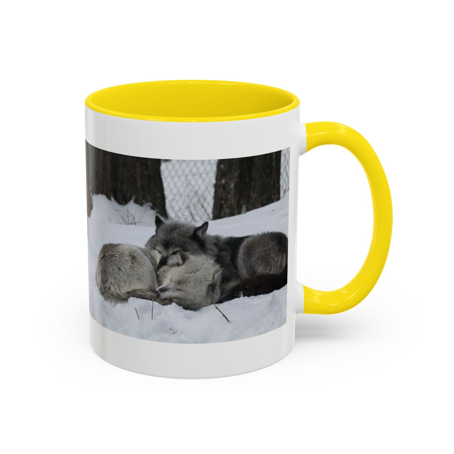 Wolf Pair Accent Coffee Mug – Winter Wildlife Photo Mug (11/15 oz)