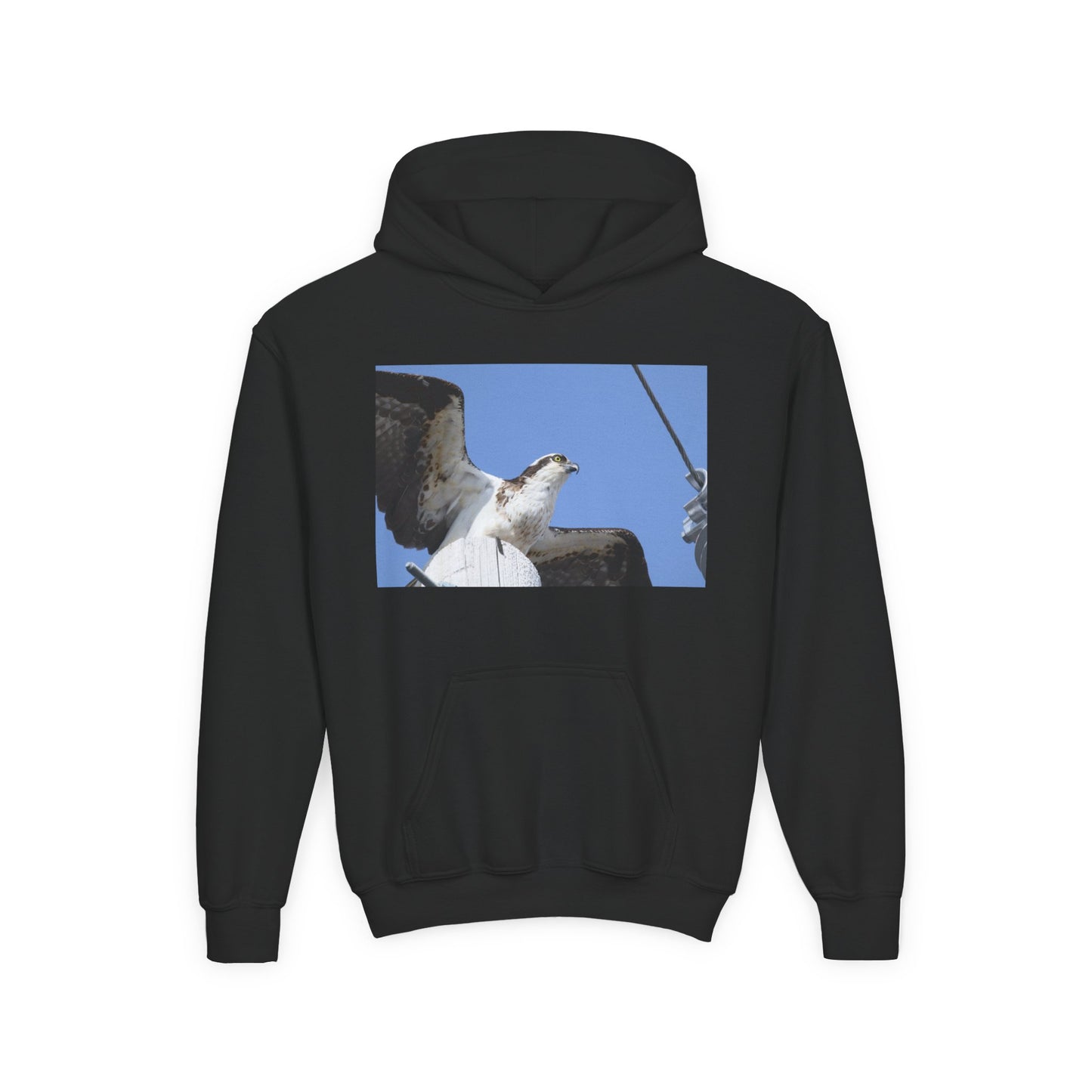 Youth Osprey Photo Hoodie — Kids Birdwatching Nature Pullover