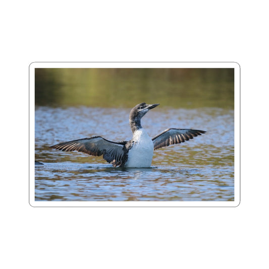 Common Loon Photo Kiss-Cut Sticker — Waterbird Laptop Decal