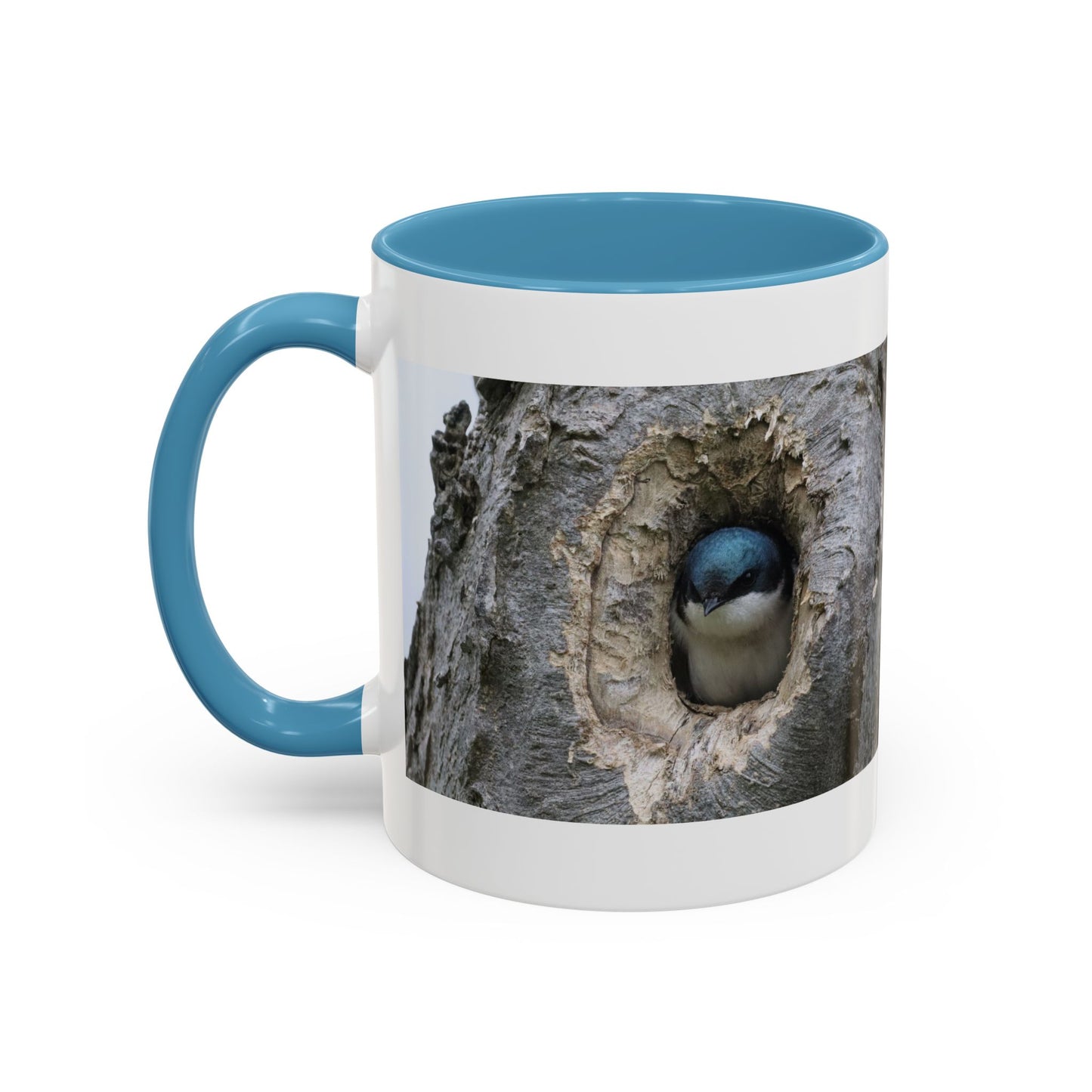 Bluebird in Tree Cavity Accent Coffee Mug — Nature Wildlife Ceramic Mug (11/15oz)