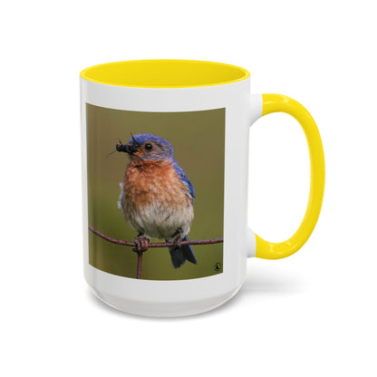 Bluebird Photo Coffee Mug — Eastern Bluebird with Insect Accent Mug (11/15 oz)