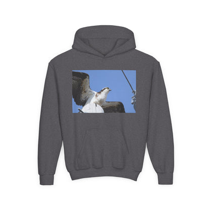 Youth Osprey Photo Hoodie — Kids Birdwatching Nature Pullover