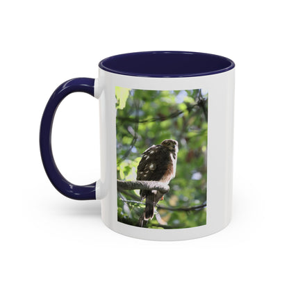Hawk Perch Accent Coffee Mug (11/15 oz) – Nature Bird Photography