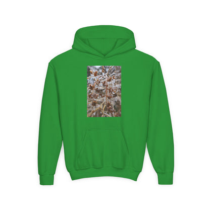 Youth Hoodie — Frosted Winter Berries Photo Print