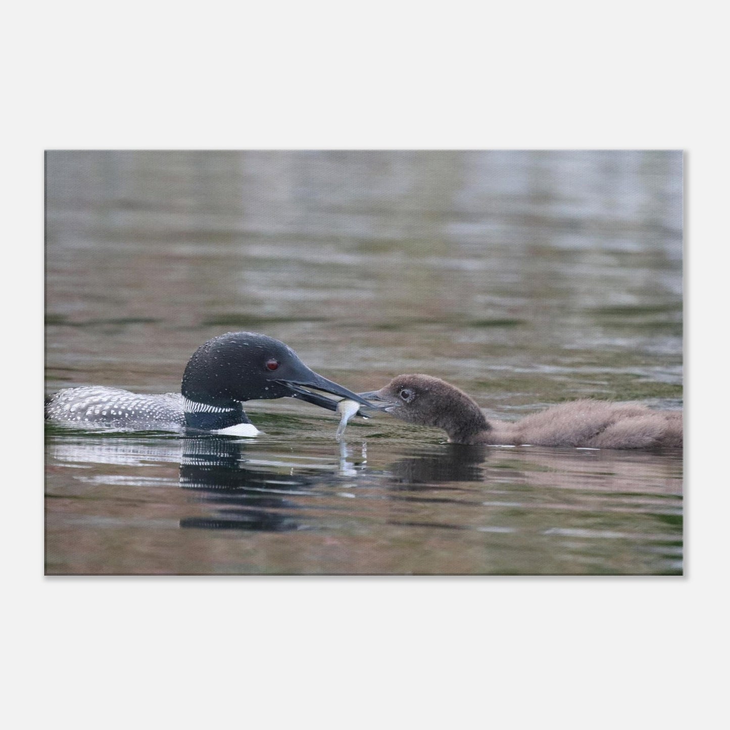 683d8584-1227-49ab-8a3d-739c68cfcc59