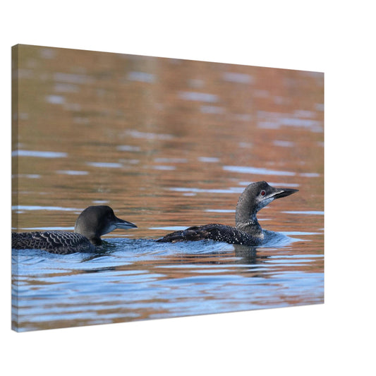 6876fa6c-8c82-460b-b9f4-d749963c2862