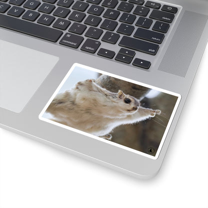 Flying Sugar Glider Sticker — Cute Gliding Pet Laptop Decal