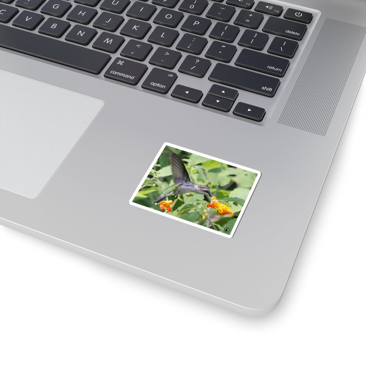 Hummingbird & Orange Flower Kiss-Cut Sticker — Nature Wildlife Laptop Decal