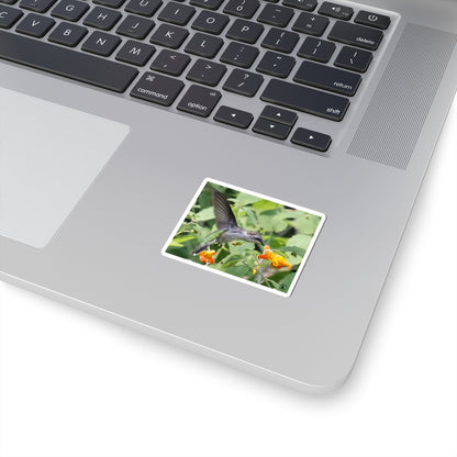 Hummingbird & Orange Flower Kiss-Cut Sticker — Nature Wildlife Laptop Decal