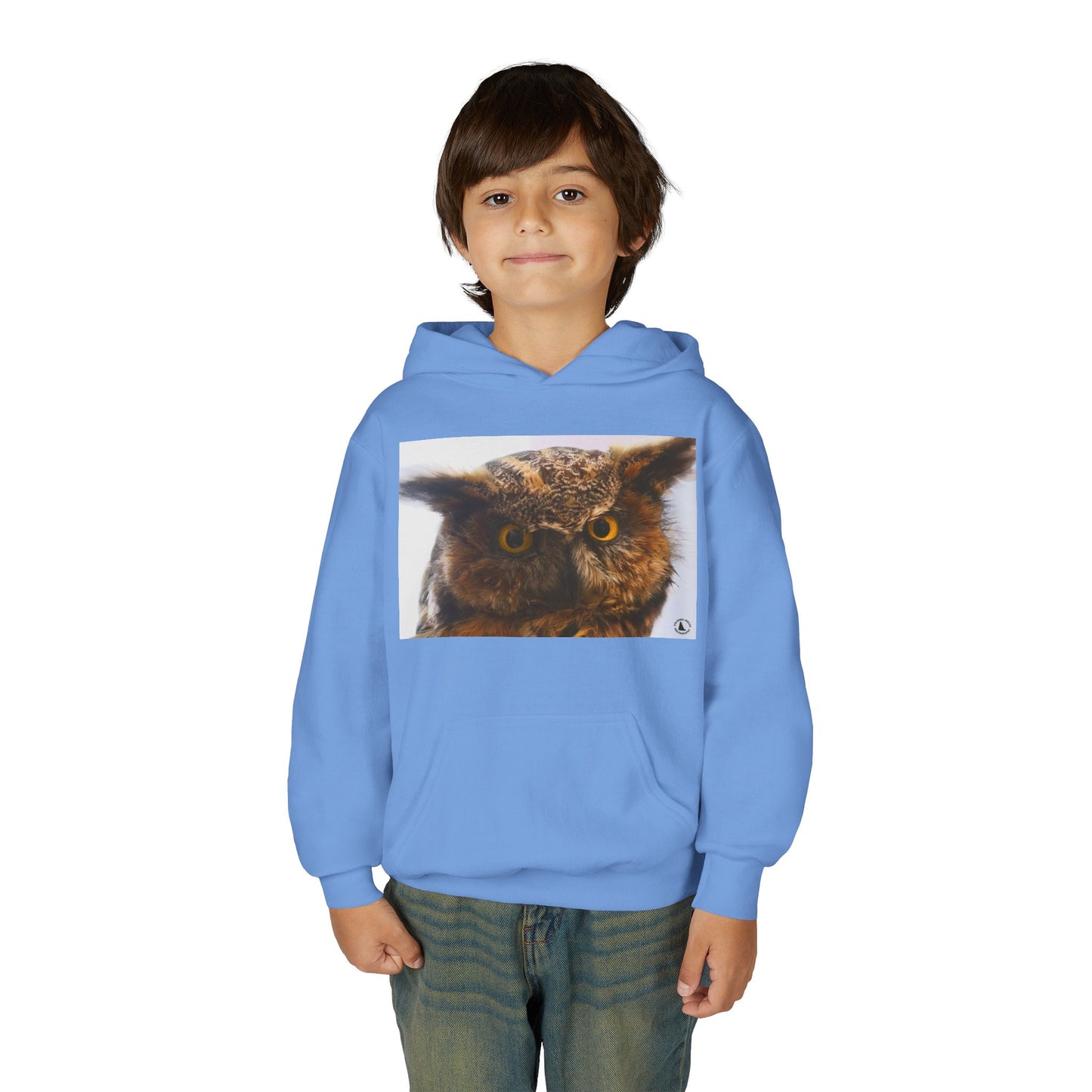 Youth Hoodie with Realistic Owl Art — Cute Kids Animal Pullover