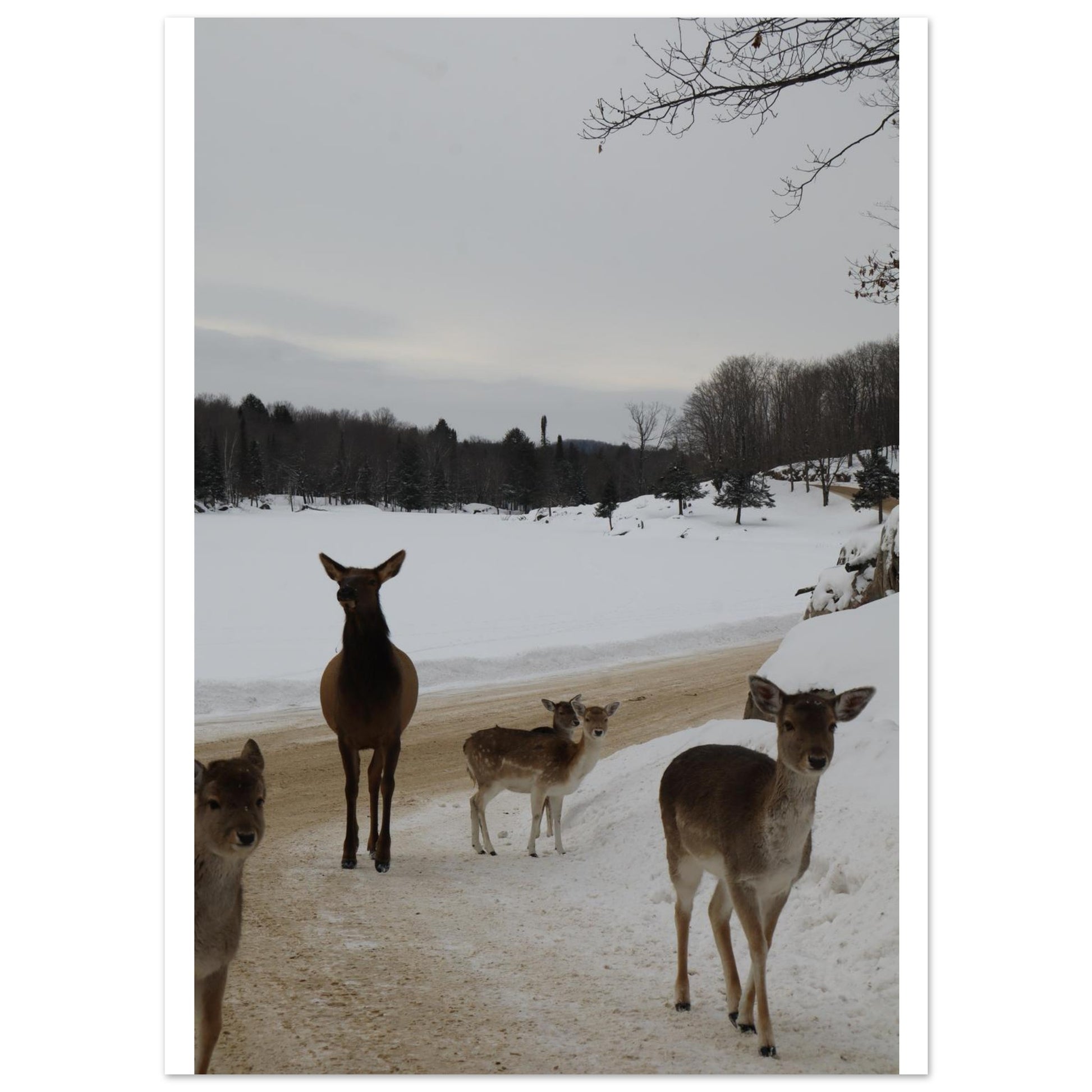 692f3d9c-8762-416c-ab62-2e6e2b526175