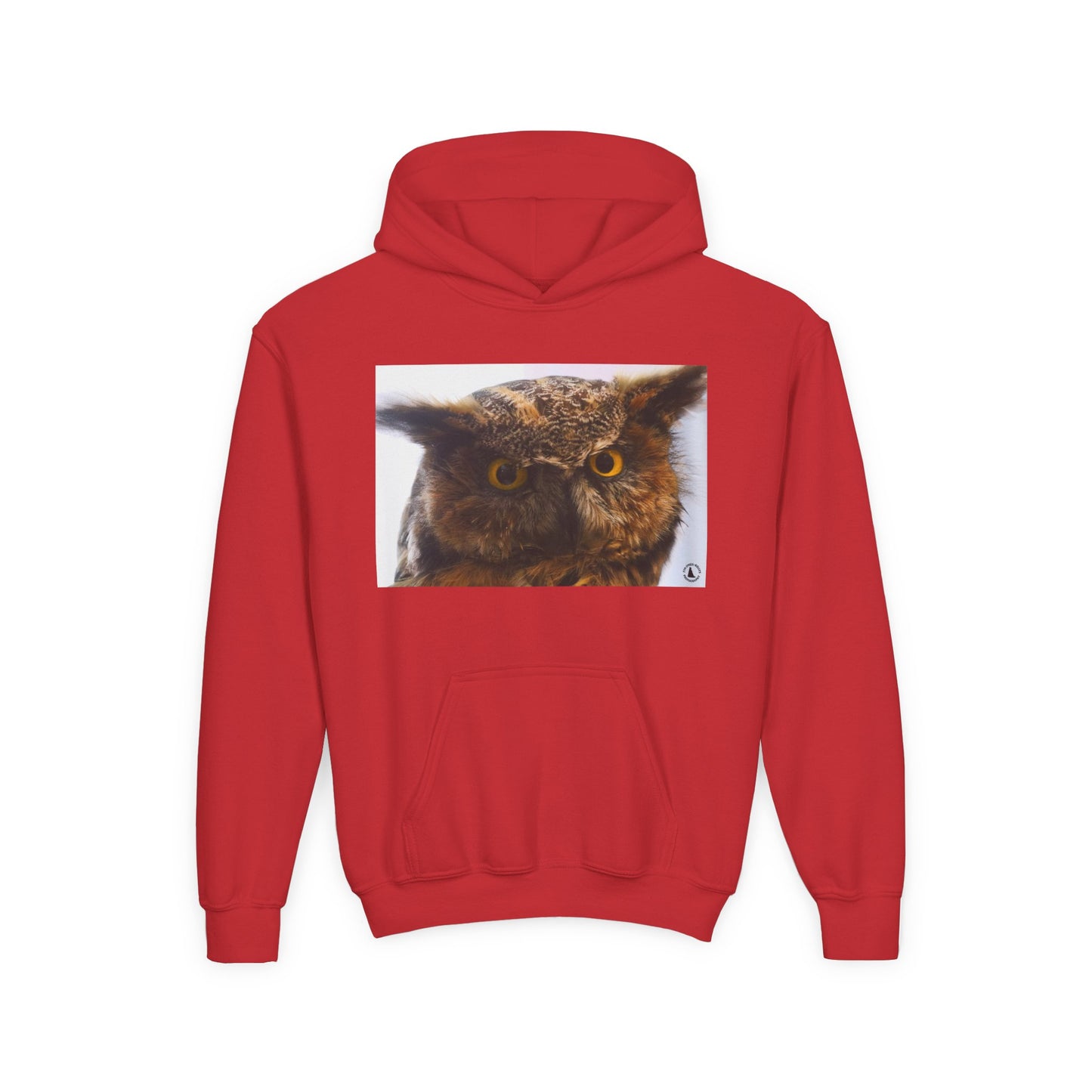 Youth Hoodie with Realistic Owl Art — Cute Kids Animal Pullover