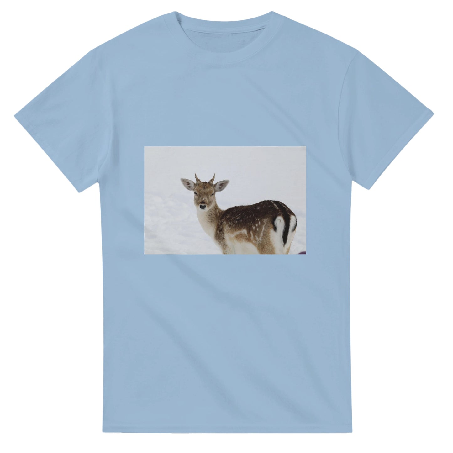 69a7cbc2-e1cc-432d-80bc-ce412e736250