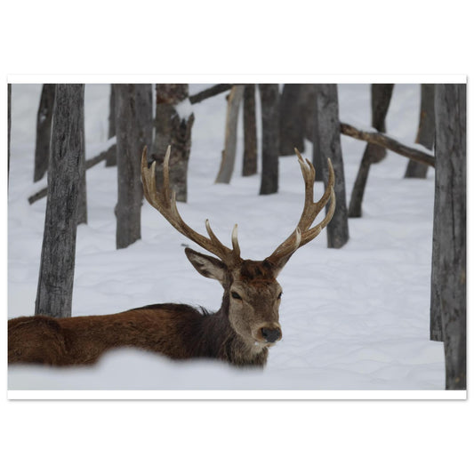 69aa663b-e1cf-4d4f-bb53-181921a6148e