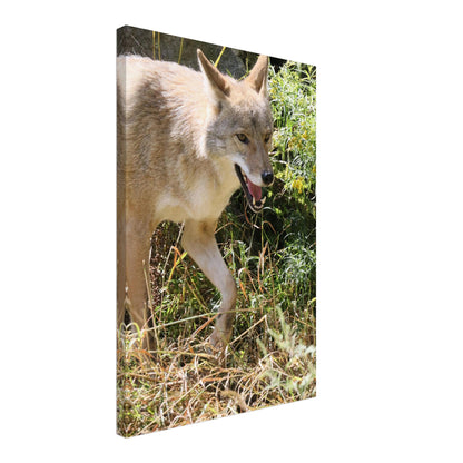 69d810c3-5174-4785-a6d9-55ea7065c39d