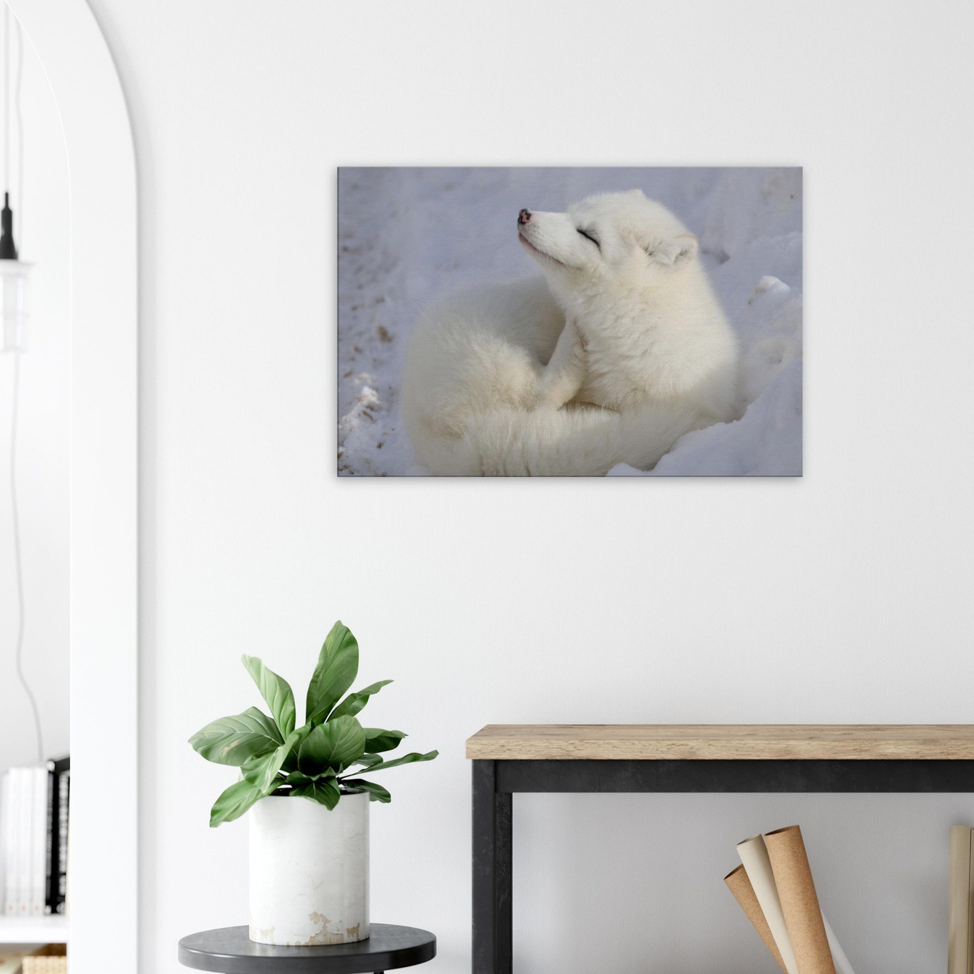 6bf229f8-fa7f-4622-84d0-fb31dda33d8f