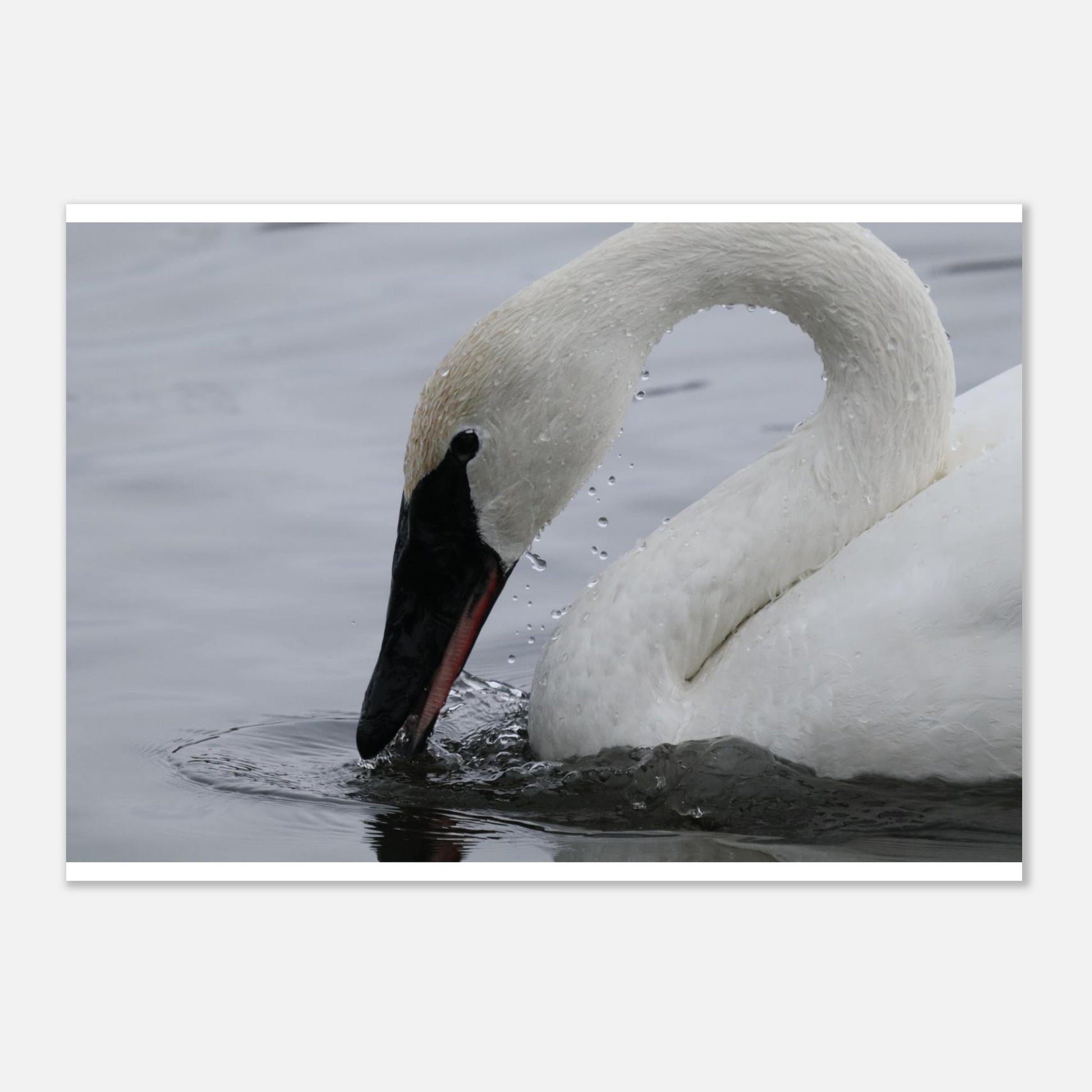 6c1459cd-01cf-4038-a654-39126d2e043c