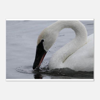 6c1459cd-01cf-4038-a654-39126d2e043c