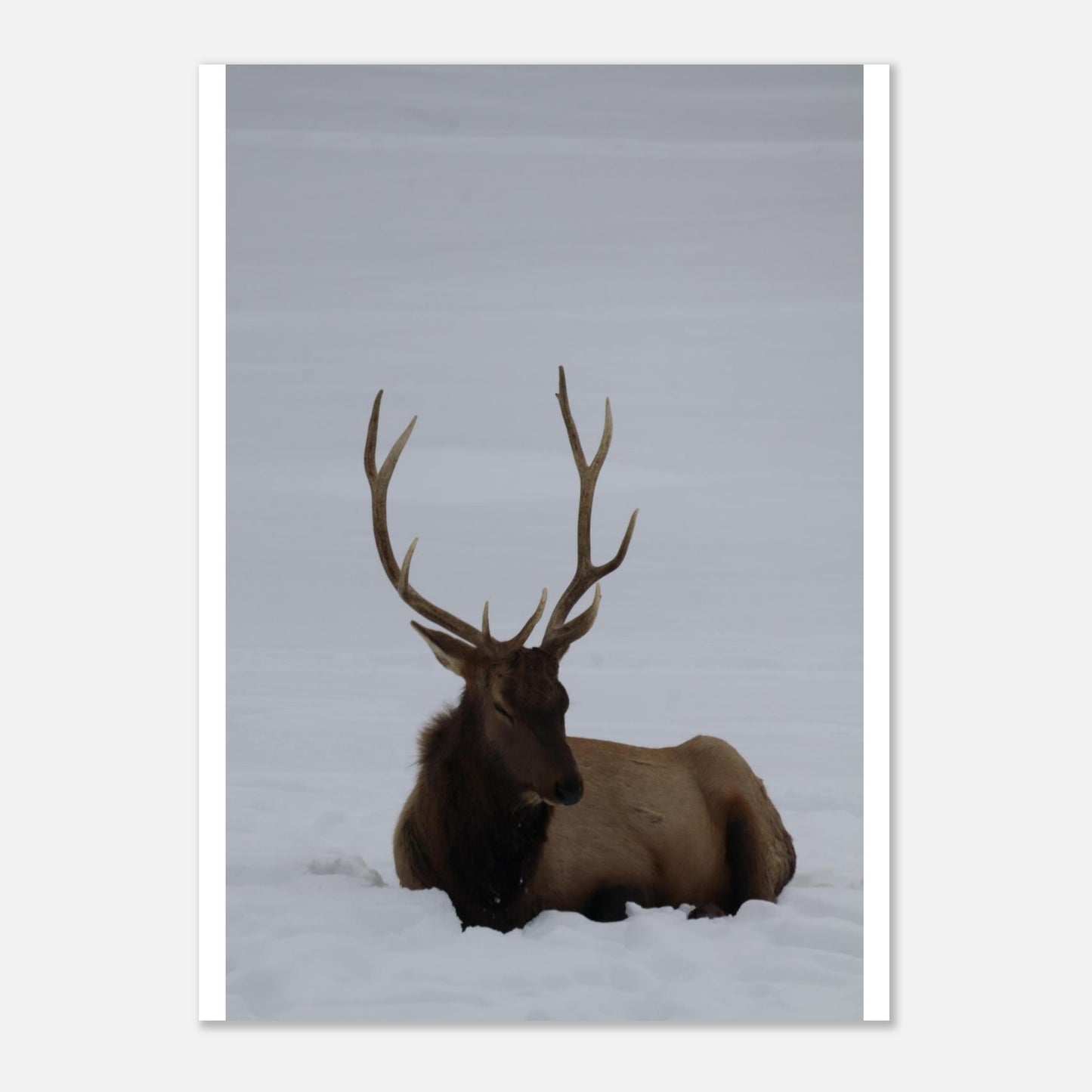 6cea33fd-5f9f-4351-948c-8328ef9439ea