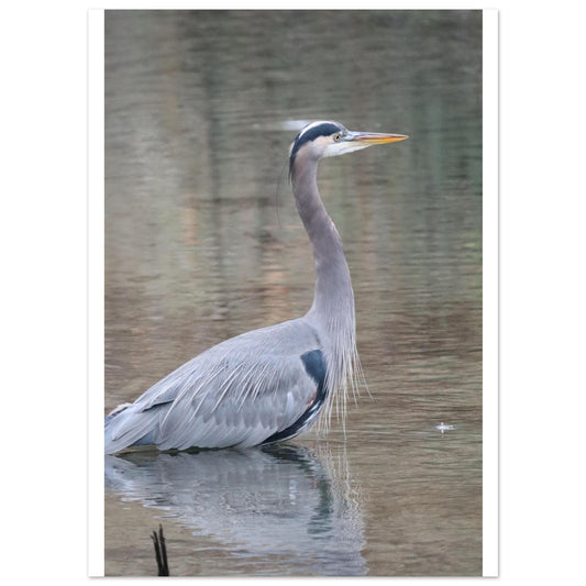 6cff17ea-7097-4e5b-828a-a1dd0b7a37a8