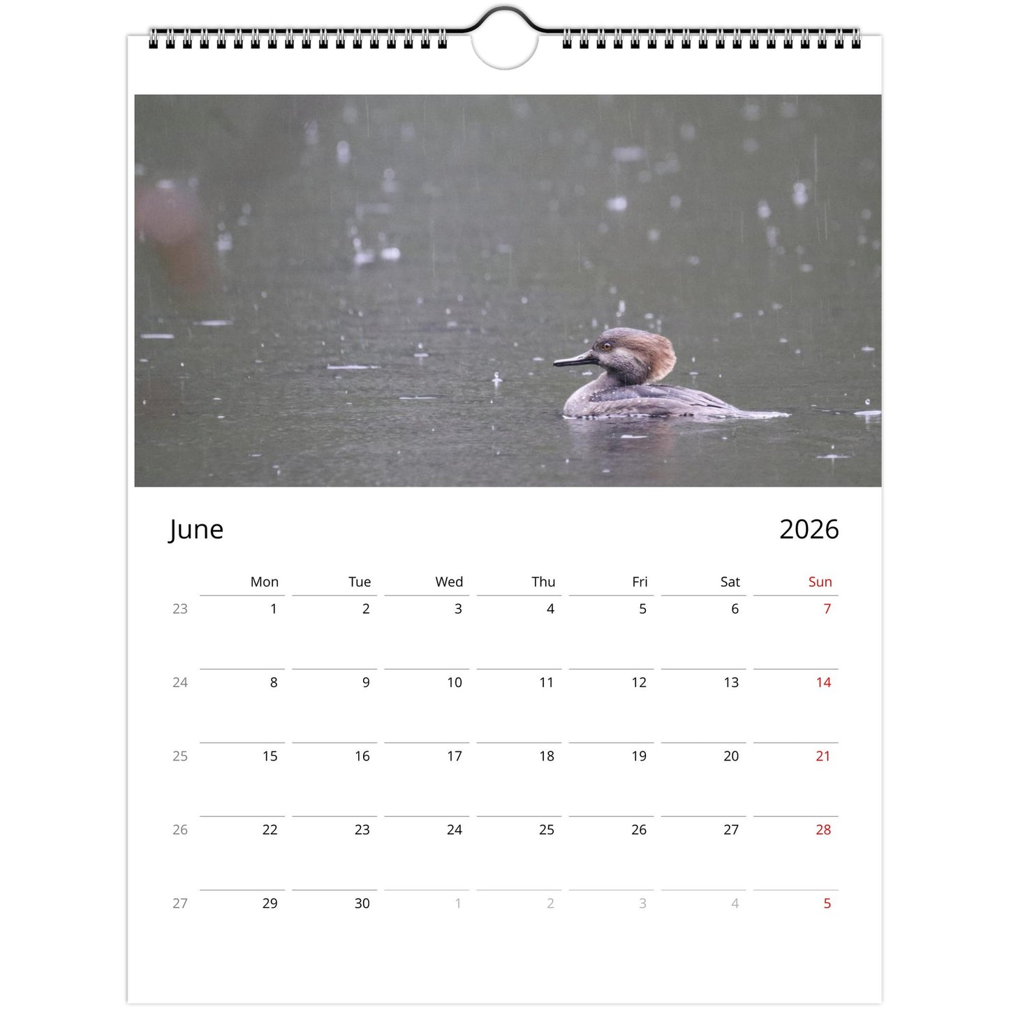 6d00418a-d924-4978-9b65-48896bf6f16b