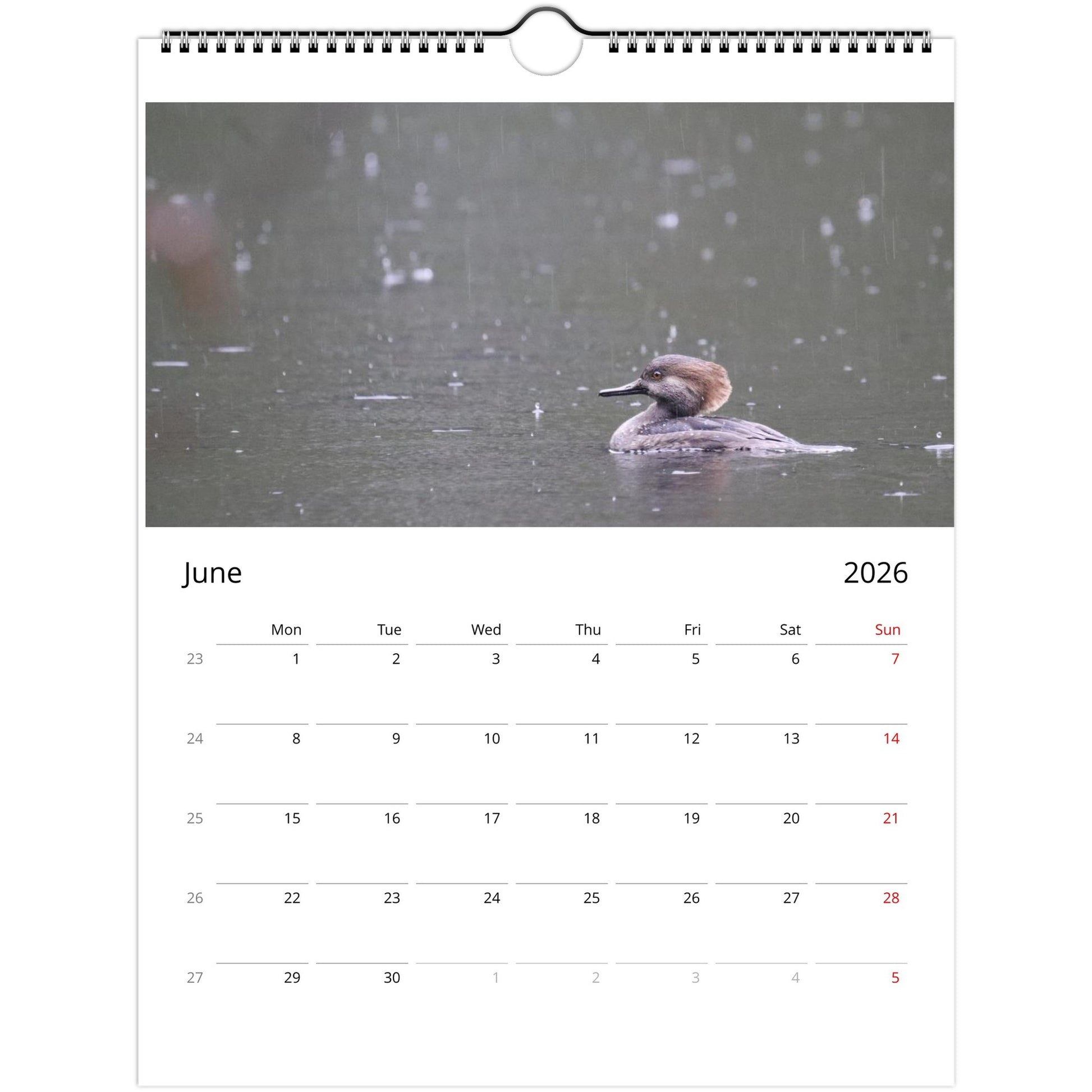 6d00418a-d924-4978-9b65-48896bf6f16b