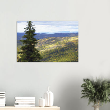 6d1759c8-8944-4401-973d-8f06b0ea78f7