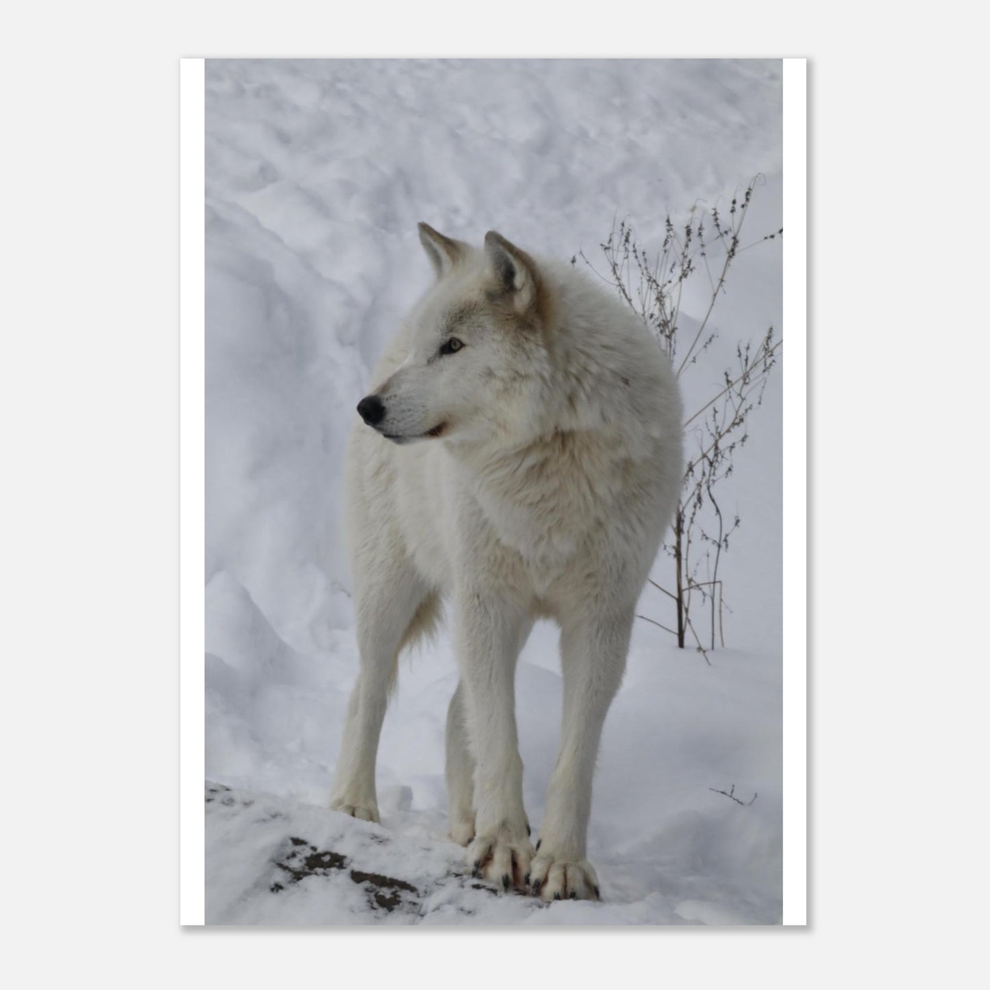 6d943fbb-552a-4ebb-9fad-4b478eb90e4f