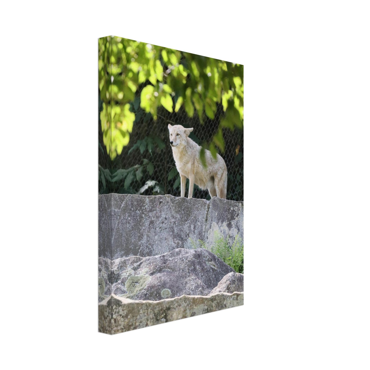 6e19dde2-672c-44a5-a192-14ccb01410d1