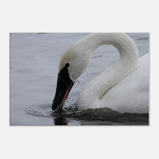 6e3b9ae5-20d2-4aa9-8783-1bfaa202bdc3