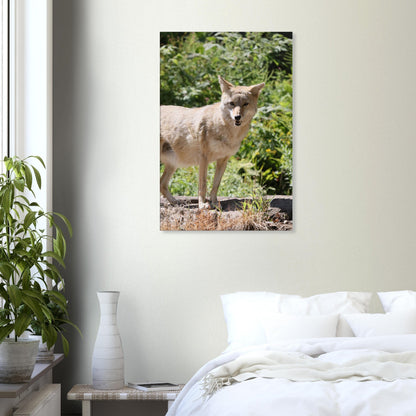 6eea3f41-f920-4012-a6fd-3956759a9ff0