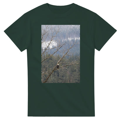 6ef43b8d-1a6b-4e83-8553-7c182f4fdd9d