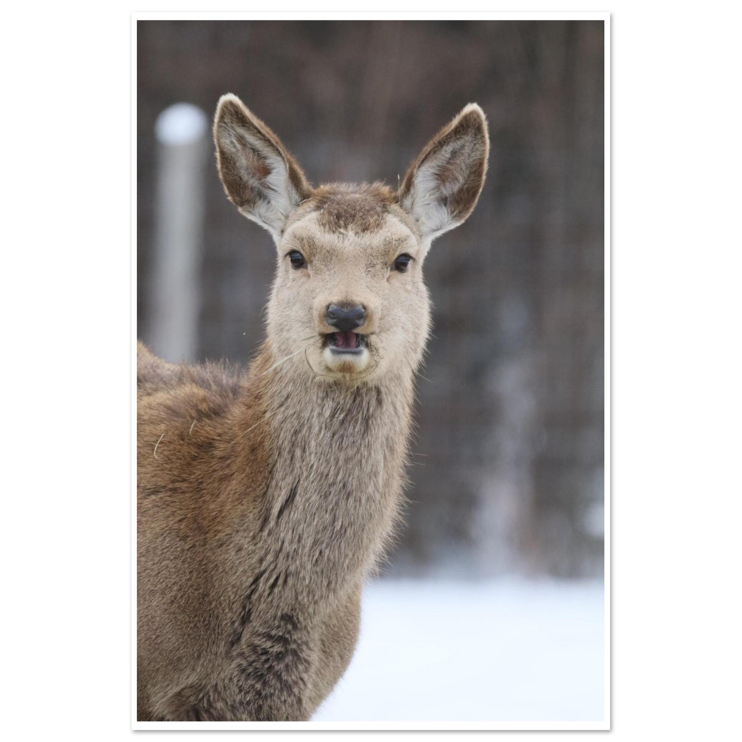 6f885c62-6272-45a6-80c3-96f0c93c6dd0