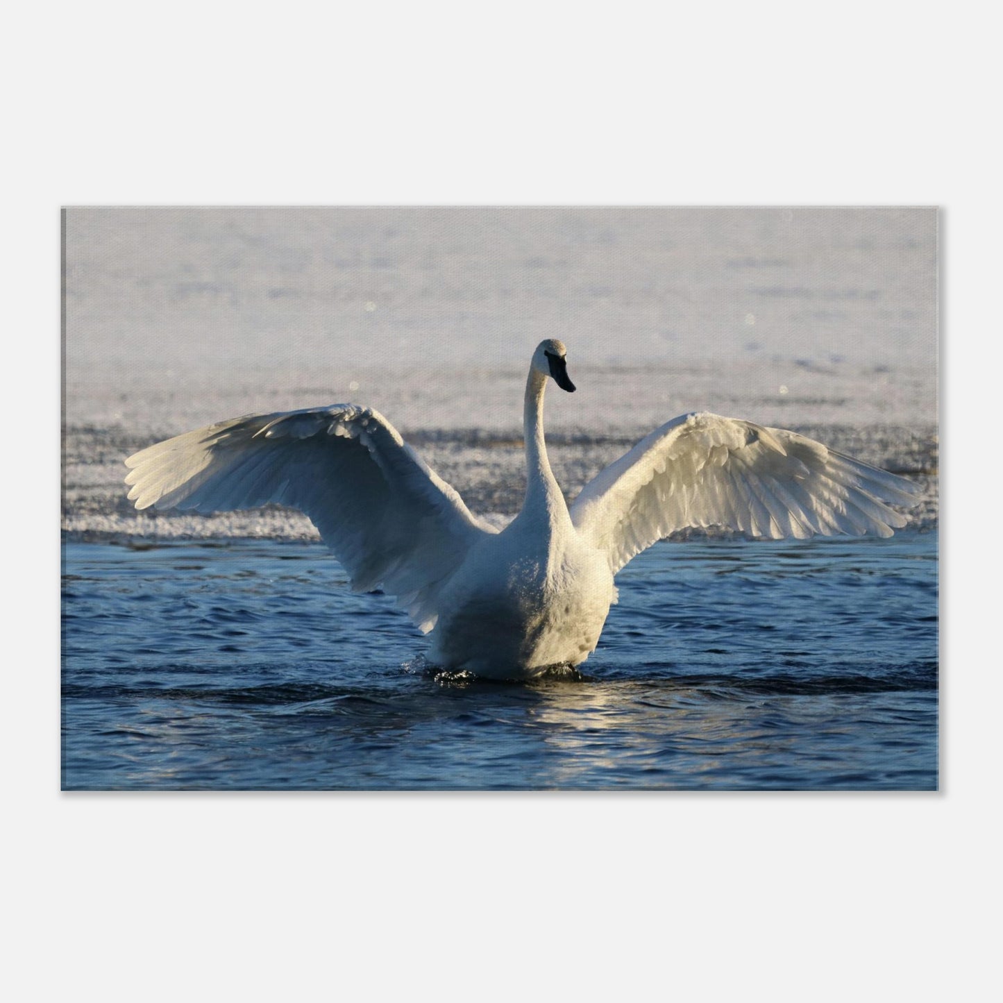 6fbbb7d0-daf0-477e-9684-57a6dceac6c2