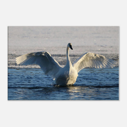 6fbbb7d0-daf0-477e-9684-57a6dceac6c2