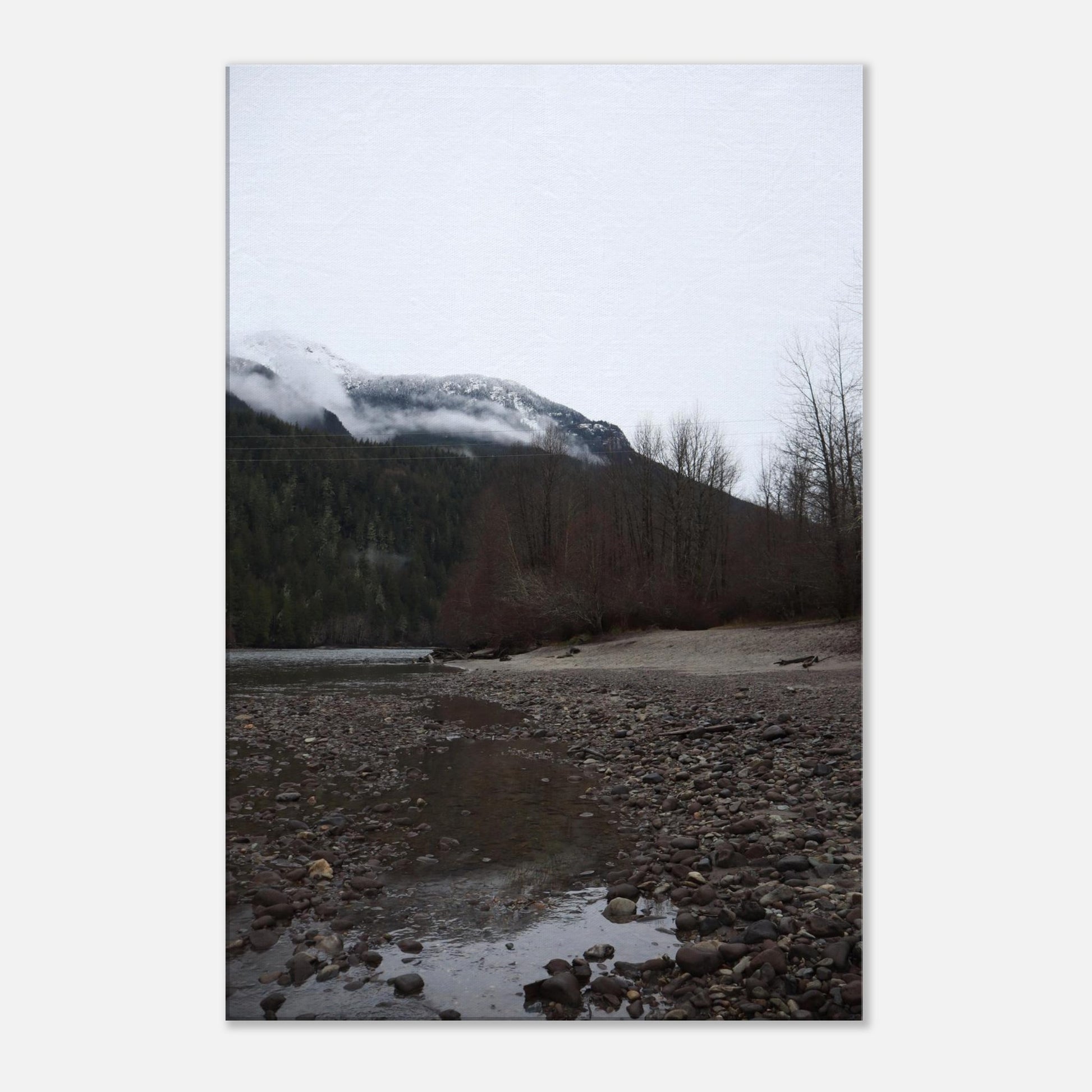 6fd8c070-7257-4736-bab0-197555004e6c