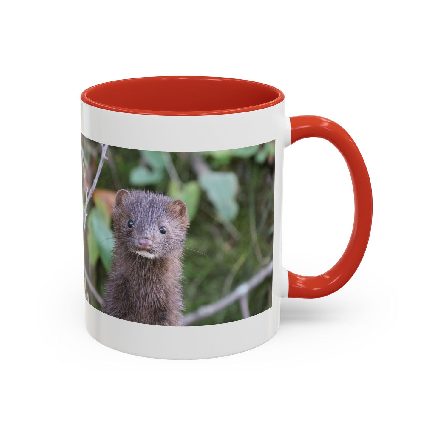 Cute Mink Photo Accent Mug – Wildlife Photography Coffee Cup (11/15 oz)