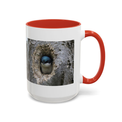 Bluebird in Tree Cavity Accent Coffee Mug — Nature Wildlife Ceramic Mug (11/15oz)
