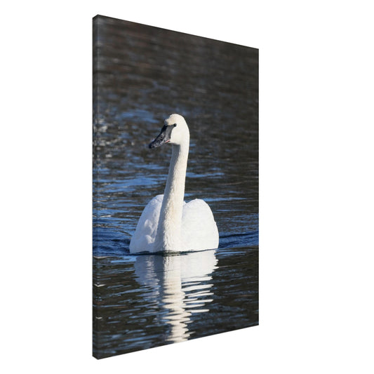 701b30f2-5953-4e20-8a40-e636490b7547