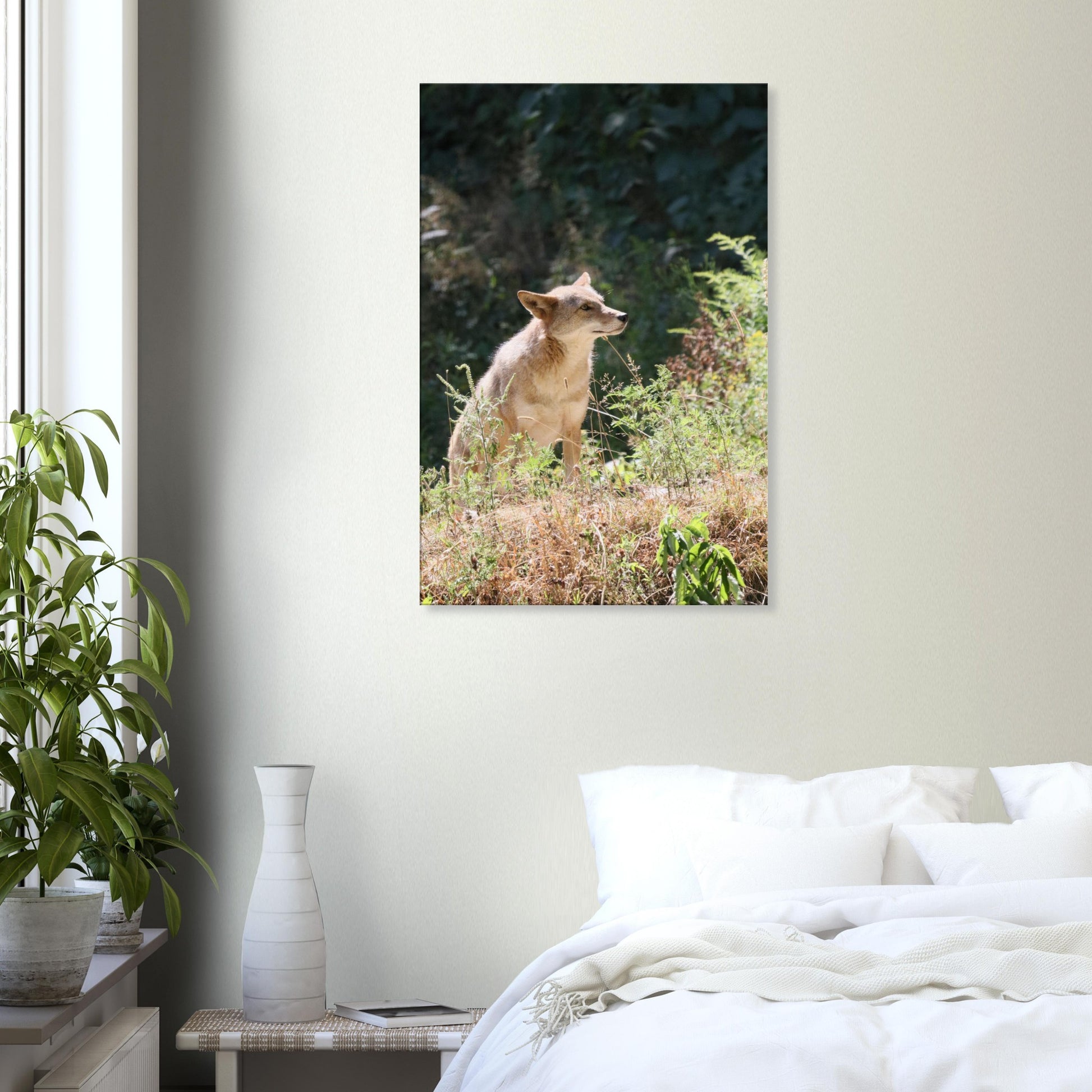 702c0f70-7cdf-4ed8-9488-7641d39d4fd8