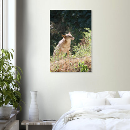 702c0f70-7cdf-4ed8-9488-7641d39d4fd8