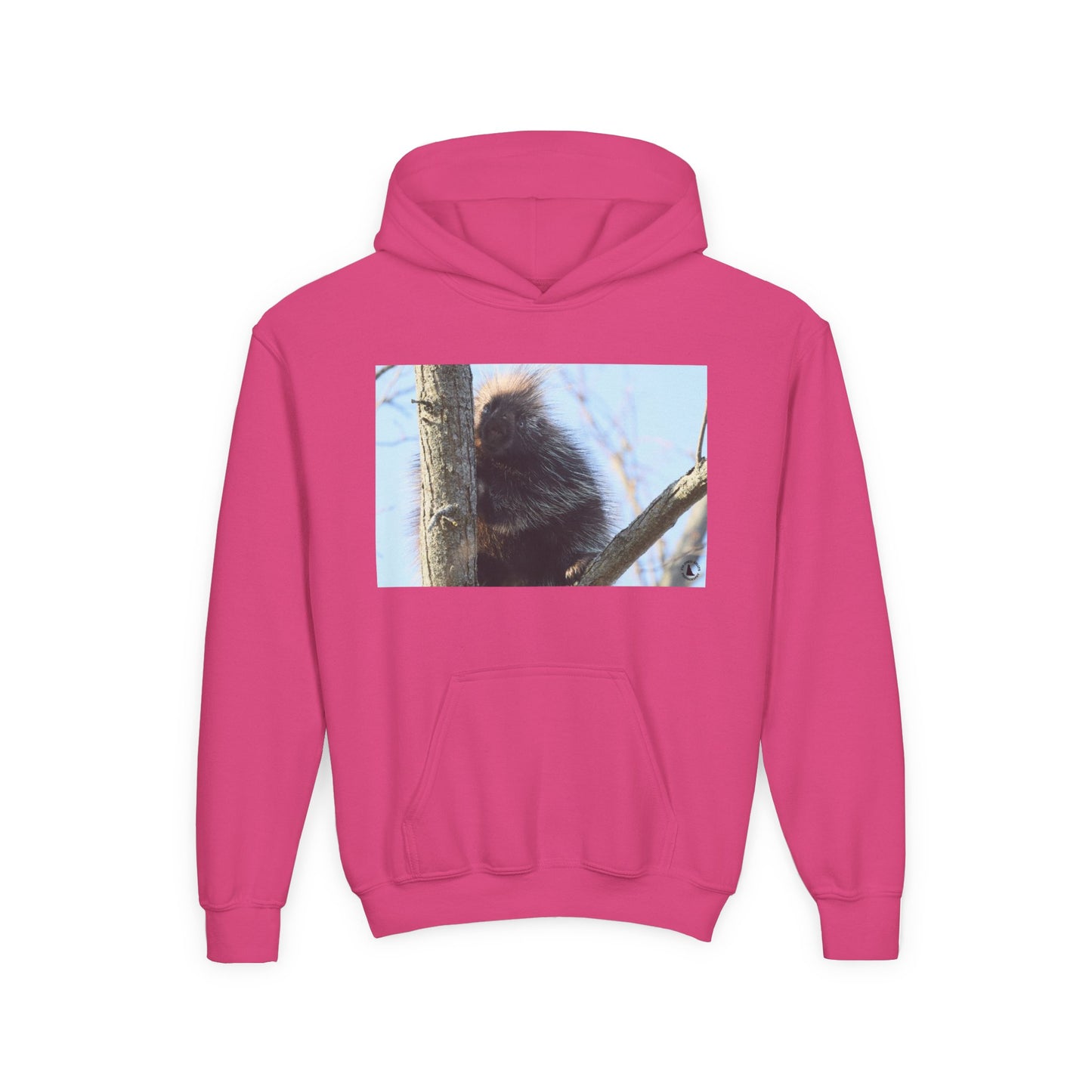 Youth Hoodie with Tree-Climbing Porcupine Photo – Cute Wildlife Kids Sweatshirt