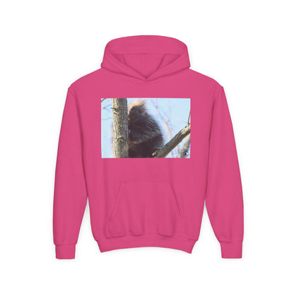 Youth Hoodie with Tree-Climbing Porcupine Photo – Cute Wildlife Kids Sweatshirt
