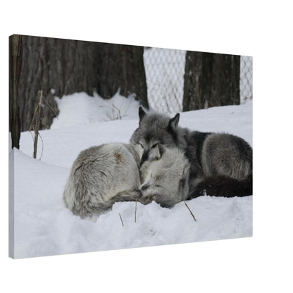 7062930e-3b6f-4862-b4bf-2f110cae0139