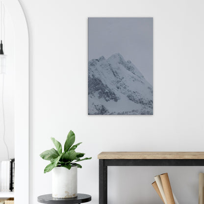 70995b2f-968c-4dea-bed6-0ac55cf0d65a